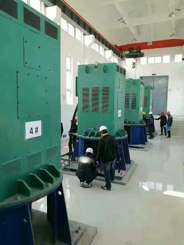 乌拉特后某污水处理厂使用我厂的立式高压电机安装现场品质保证